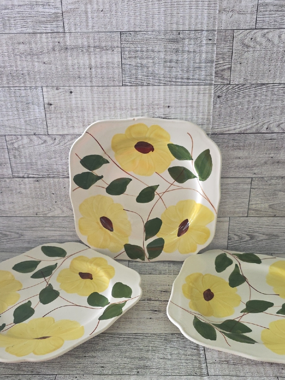 Blue Ridge Pottery Handpainted Salad Plates